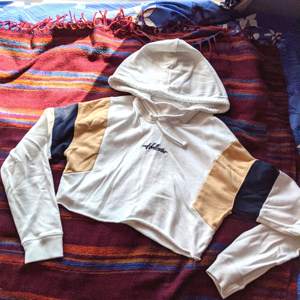 Hollister Stylish Cropped Hoodie